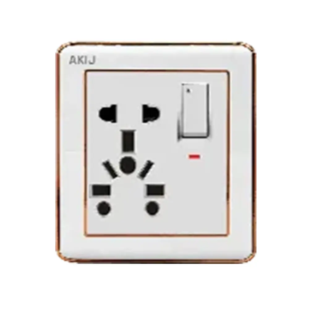 AKIJ DELIGHT COMBINATION SOCKET WITH SWITCH 16 A