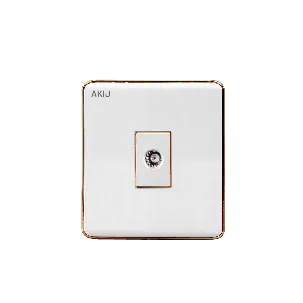 AKIJ DELIGHT TV SOCKET