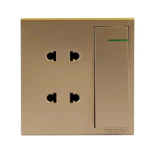 WALTON TRUST GOLDEN SERIES 2 PIN SOCKET | WT2PSG (GOLD)