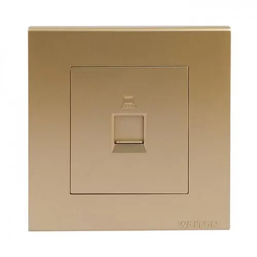 WALTON TRUST GOLDEN SERIES DATA SOCKET | WTDSG (GOLD)