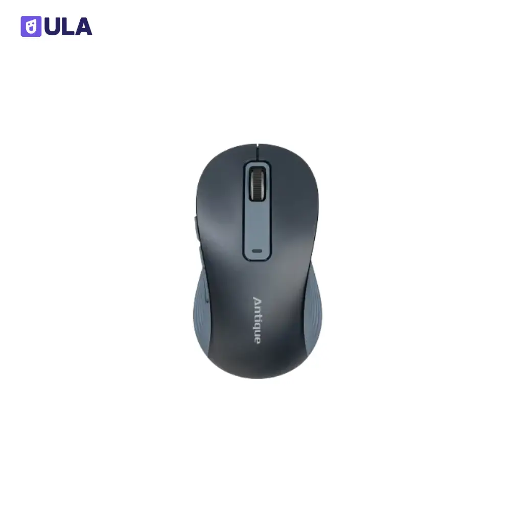 ANTIQUE RECHARGEABLE BLUETOOTH MOUSE | WMS020RN