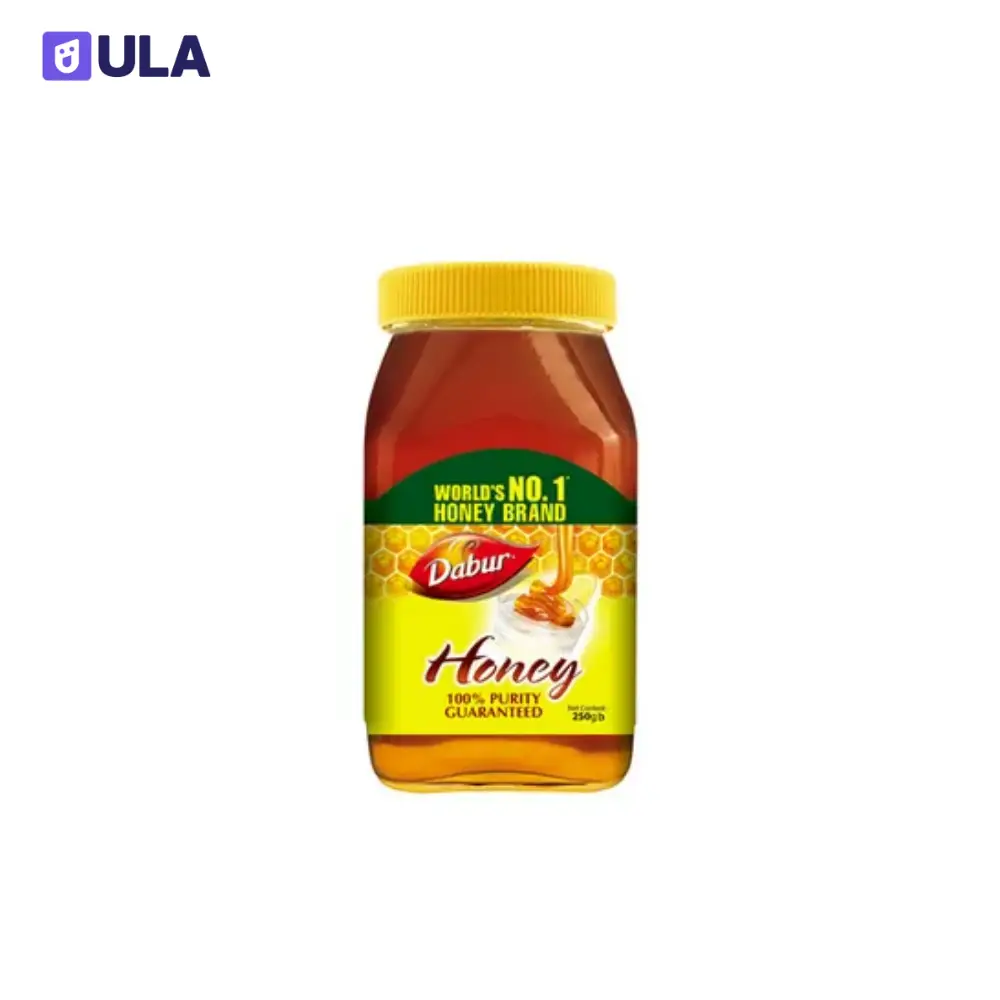 DABUR HONEY | 250g