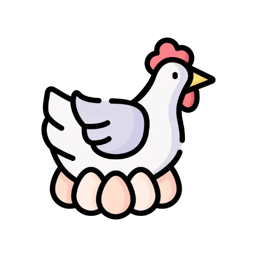 Chicken Egg